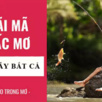 Giải mã chiêm bao nằm mơ thấy bắt cá & bộ số may mắn