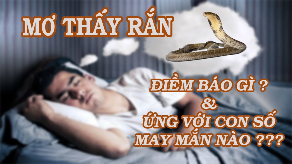 Mộng thấy trăn đánh con gì trúng lớn được nhiều người quan tâm